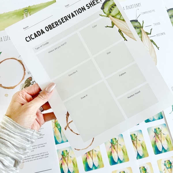 Cicada Unit Study | Homeschool | Insect | Digital Worksheets | Nature Study