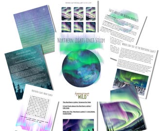 Northern Lights Unit Study | Aurora Borealis | Digital Homeschool Worksheets | Night Sky