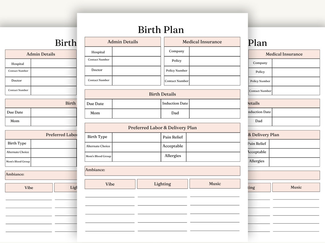 Birth Plan Template New Mom Planner Labor and Delivery Birth ...