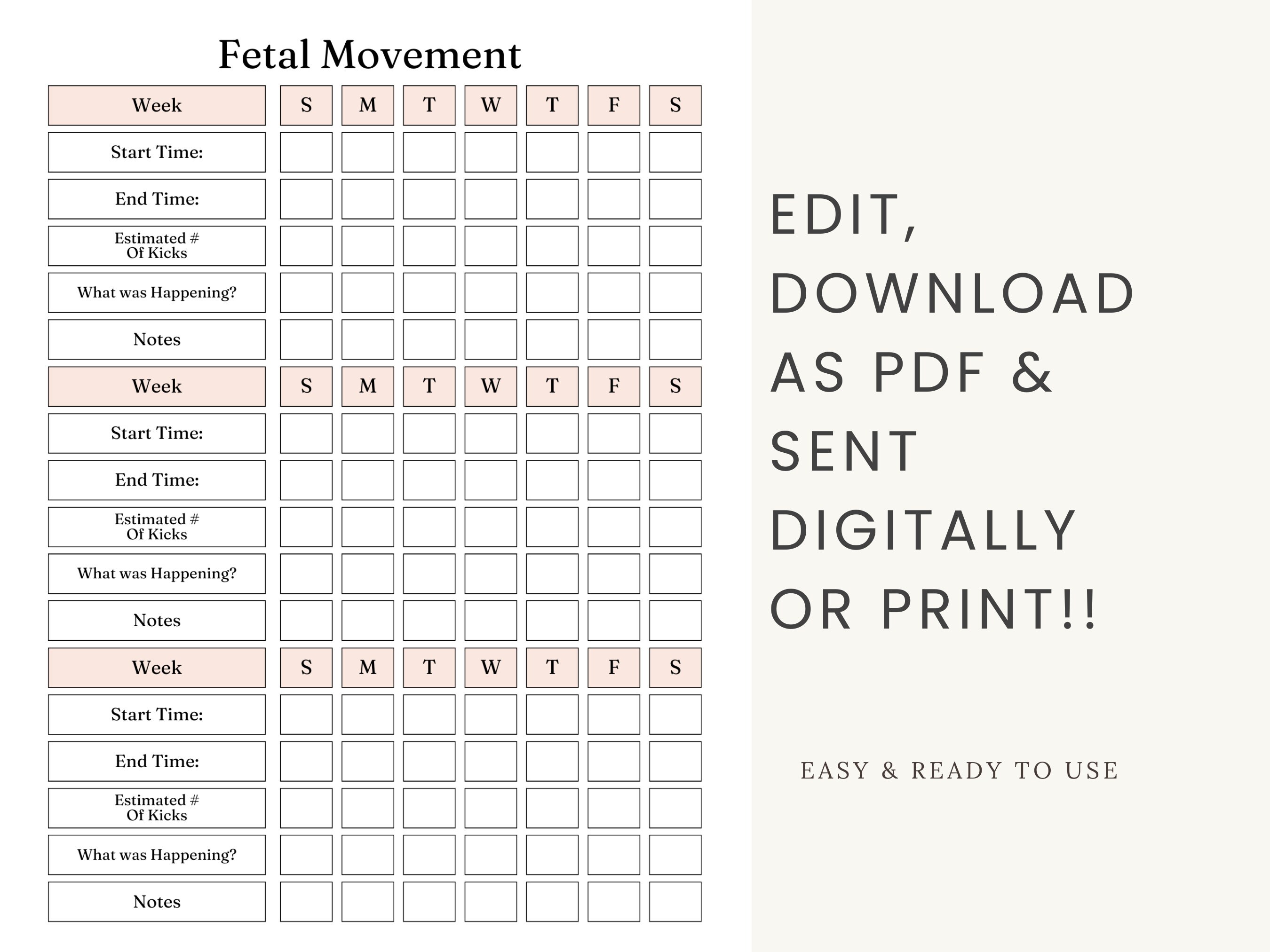 Fetal Moving Tracker Pregnancy Tracker Baby Kick Tracker Doula Template ...
