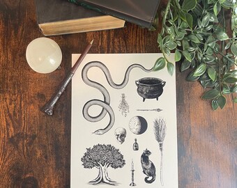 Impression d'art maison du sorcier : serpent, décoration magique, cadeau