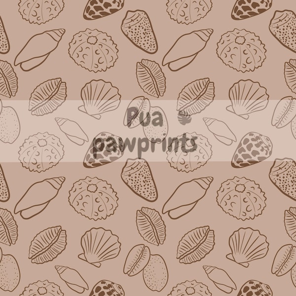 Hawaii Sea Shell - Etsy