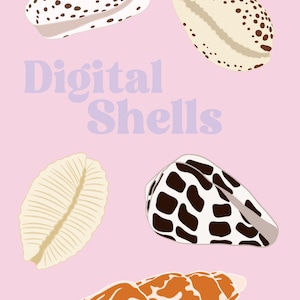 Puede incluir: Ilustración digital de varias conchas marinas en tonos blancos, marrones y naranjas, sobre un fondo rosa claro. El texto "Digital Shells" está en color lavanda.