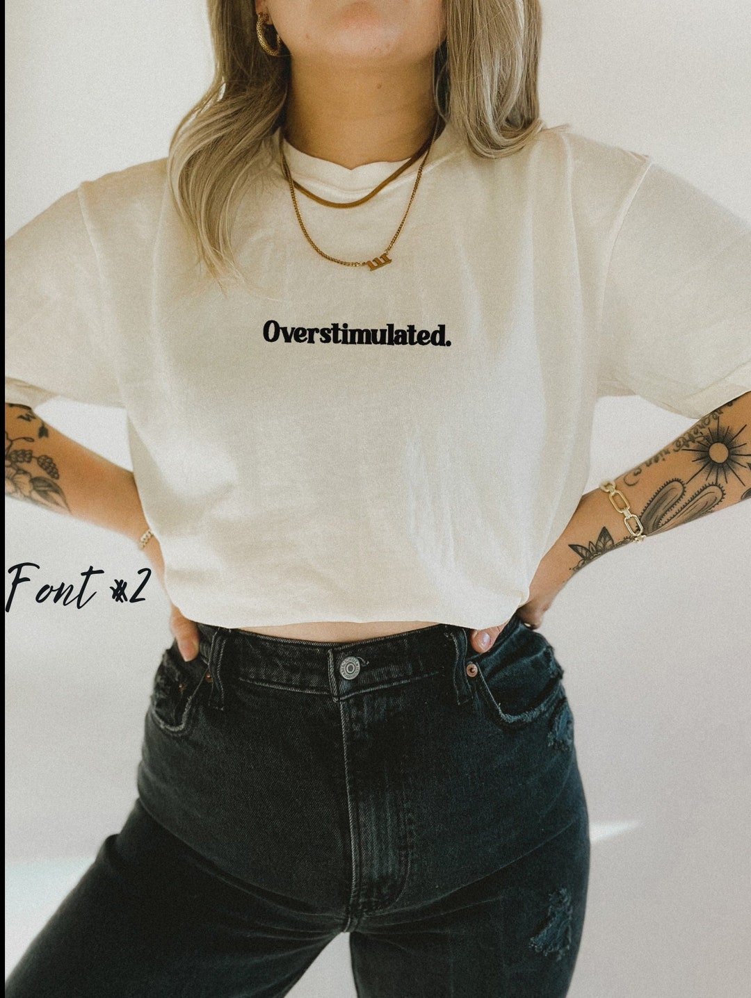 Overstimulated Embroidered Heavy Cotton T-Shirt main image 1
