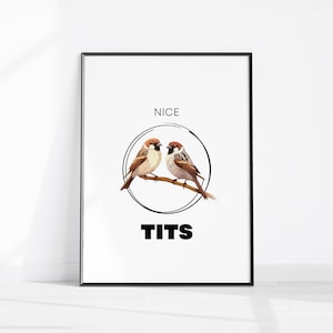 Nice Tits Print, Cheeky Home Decor, Funny Tits Wall Art, Pair if Tits Printable Art, Fun Bathroom Wall Decor, Restroom Sign, Over Bed Prints