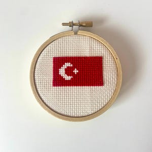 Può includere: Una bandiera turca rossa e bianca ricamata su una tela bianca, incorniciata in un cerchio di legno.