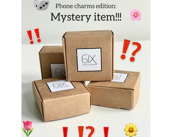 Mystery box Phone charm hanging, keychain lanyard, bag charms, surprise gift item