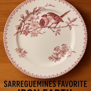 希少　サルグミンヌ ファボリ　ディナープレート A フランスアンティーク食器 Sarreguemines favori - Etsy 日本