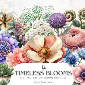 Paquete de imágenes prediseñadas de plantas y flores botánicas PNG, arte floral para diarios basura, manualidades de boda, álbumes de recortes, fondo transparente digital