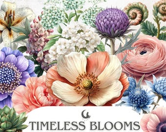 May include: A vibrant floral arrangement featuring a variety of blooms in shades of pink, peach, purple, and white. The image includes a succulent in a decorative pot and the text "TIMELESS BLOOMS". The arrangement is high resolution and suitable for commercial use.