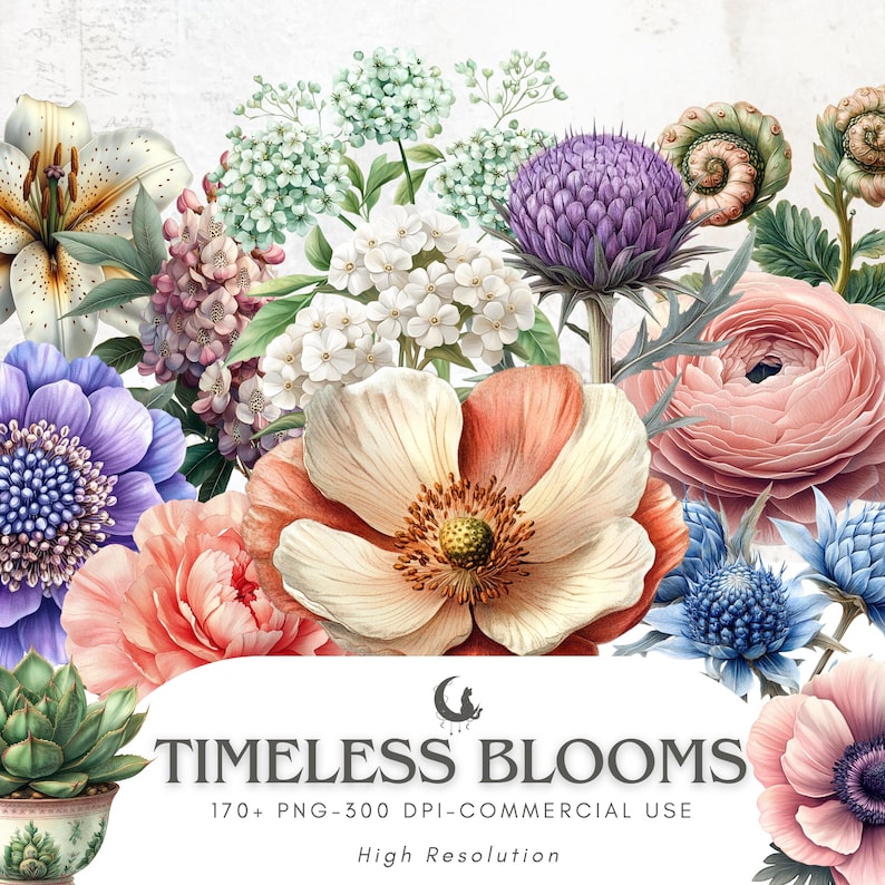 May include: A vibrant floral arrangement featuring a variety of blooms in shades of pink, peach, purple, and white. The image includes a succulent in a decorative pot and the text "TIMELESS BLOOMS". The arrangement is high resolution and suitable for commercial use.