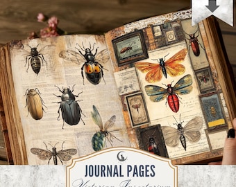 Victorian Insectarium Junk Journal Pages Set of 10 Printable 300 DPI Digital Papers Insects Ephemera for Scrapbooking and Collage Craft
