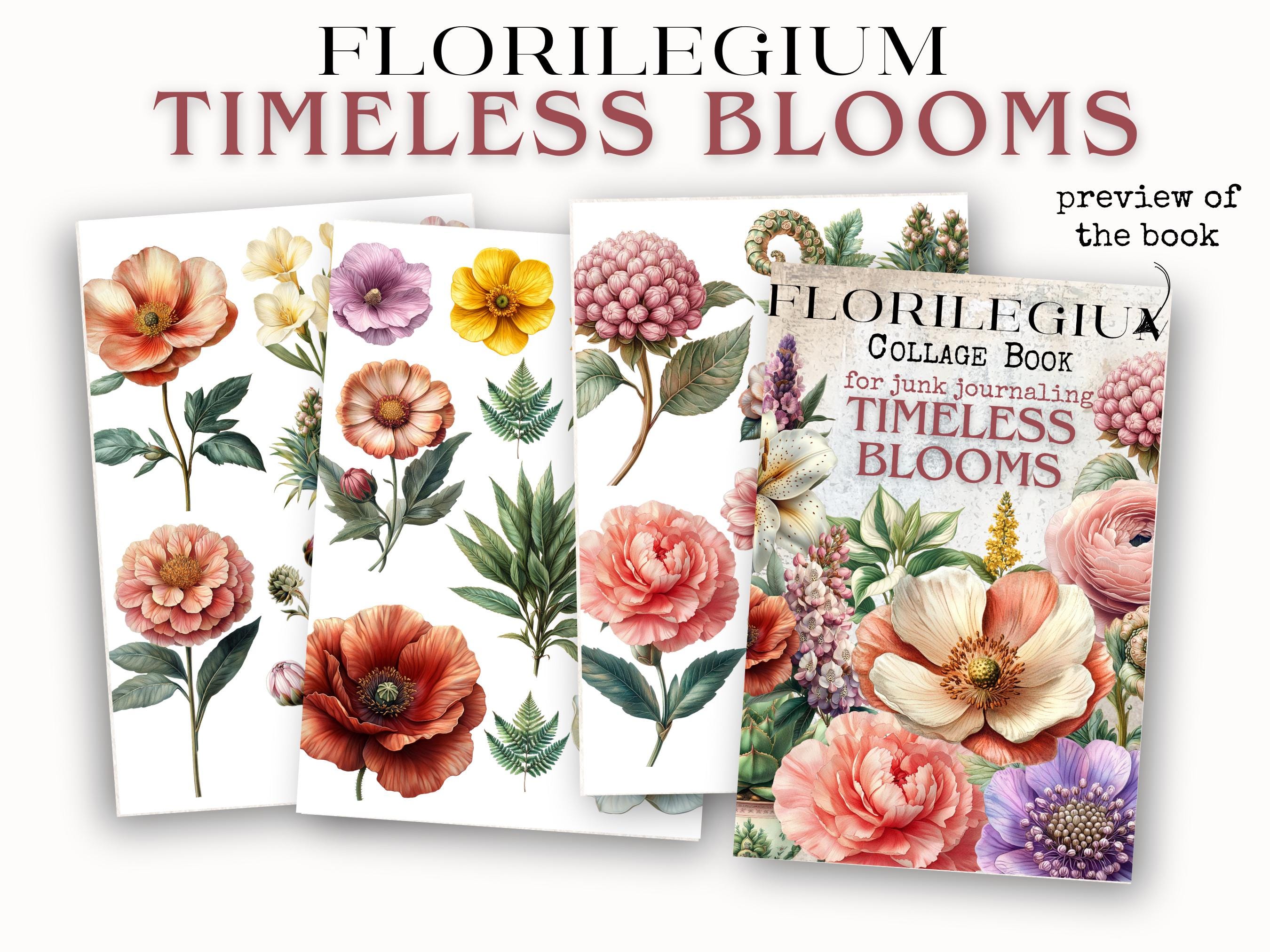 Ephemera Botanical Plants and Flowers Bundle Floral Art Digital Collage  Book Whimsical Nature Cut and Collage Printables for Craft Projects - Etsy, image size:2700x2025