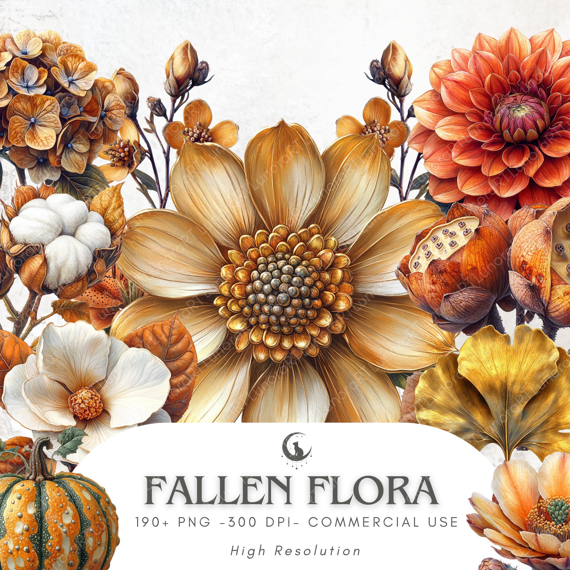 Autumn Botanical Clipart Bundle Fall Flowers and Plants PNG With ...