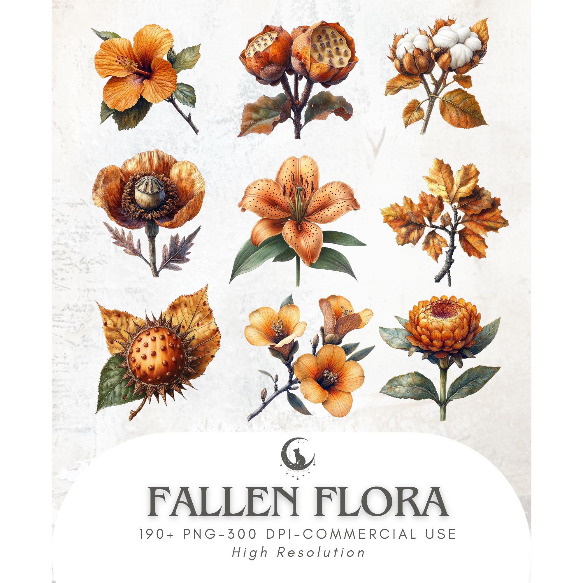 Autumn Botanical Clipart Bundle Fall Flowers and Plants PNG With ...