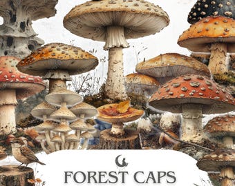 Forest Mushroom Clipart PNG Bundle Toadstool Wild Mushroom Woodland Fungi Whimsical Nature Illustration Scrapbooking Crafts Commercial Use