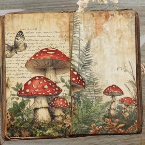 May include: Open book illustration featuring red and white spotted mushrooms, a butterfly, and ferns. The pages have a vintage, aged appearance with handwritten text. The overall theme is nature and fantasy.