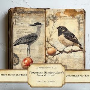 Páginas imprimibles de diario de aves victorianas, papel digital rústico efímero para scrapbooking, collage, manualidades y proyectos artísticos.