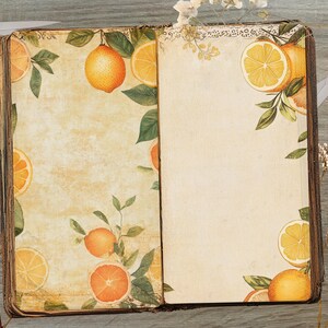 May include: An open vintage book with a yellowed, textured cover. The pages are decorated with a watercolour illustration of lemons and leaves. The book is lying open on a wooden surface.