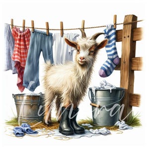 K&ouml;nnte beinhalten: Eine skurrile Illustration einer Ziege in schwarzen Stiefeln, die sich in der N&auml;he einer W&auml;scheleine mit trocknender W&auml;sche befindet. Die Ziege steht vor einem Holzzaun und zwei Metalleimern. Die Kleidung umfasst ein rot-wei&szlig; kariertes Oberteil, blaue Hosen und eine gestreifte Socke.