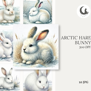 Puede incluir: Un conjunto de diez ilustraciones digitales que representan liebres árticas blancas, también conocidas como liebres de raquetas de nieve, en un paisaje invernal nevado. Las liebres se representan en varias poses, con su pelaje blanco y esponjoso y sus largas orejas. Las imágenes son perfectas para agregar un toque de encanto invernal a tus proyectos digitales.