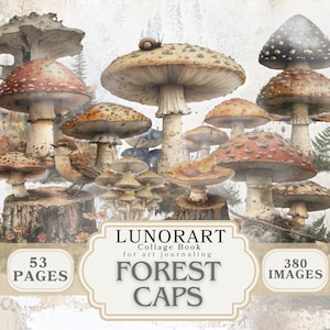 Paquete de efímeras de hongos, libro de collage digital, hongos caprichosos recortados y collages imprimibles para álbumes de recortes, diarios y proyectos de arte.