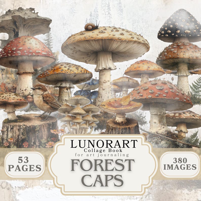 May include: A collage book with 53 pages and 380 images of mushrooms in a forest setting. The book is titled "LUNORART Collage Book for art journaling FOREST CAPS".