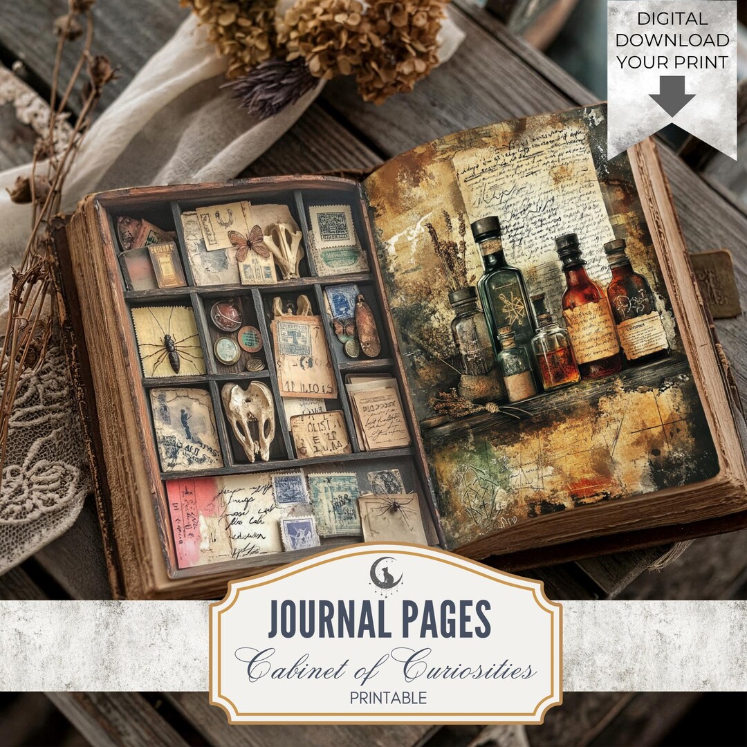 Rustic Insect Specimen Junk Journal Pages Printable Ephemera With ...