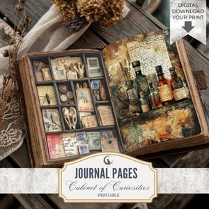 Rustic Insect Specimen Junk Journal Pages Printable Ephemera with Butterflies Jars Antique Keys Handwritten Notes Aged Paper Natural Texture