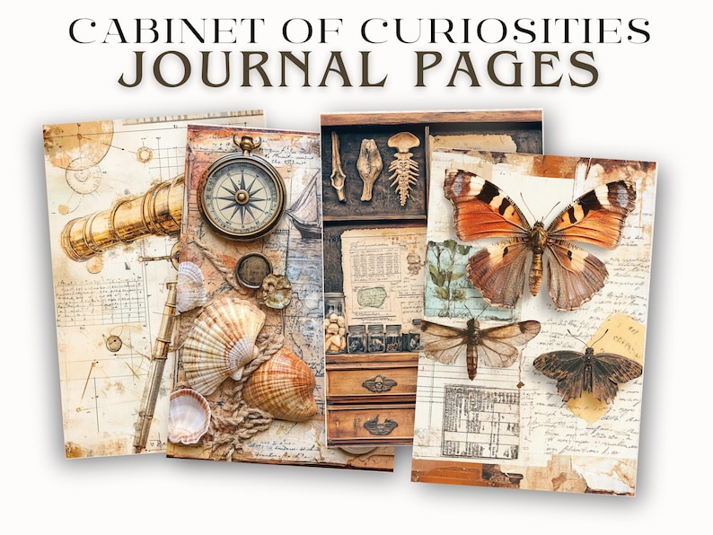 Rustic Insect Specimen Junk Journal Pages Printable Ephemera With ...