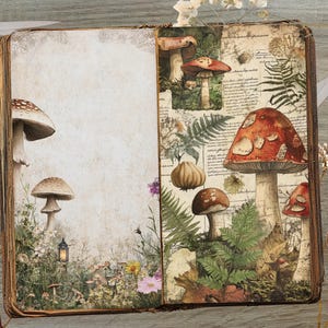 May include: Open book with vintage-style illustrations of mushrooms, ferns, and other plants. The pages have a distressed, aged appearance, with a blank page and a page with text. A key and scissors are on the wooden surface.