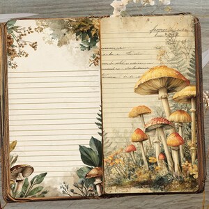 May include: Open vintage book with lined pages and mushroom illustrations. The right page features a cluster of orange and red mushrooms. The left page has botanical illustrations. Scissors and a key are on the wooden surface.