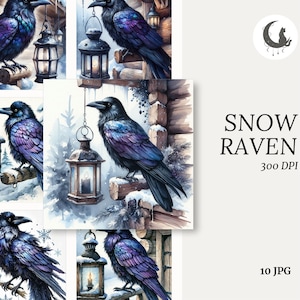 Ensemble de 10 cliparts aquarelle corbeau des neiges 300 DPI JPEG haute qualité hiver Art imprimables oiseau mystique vacances Decor téléchargement numérique
