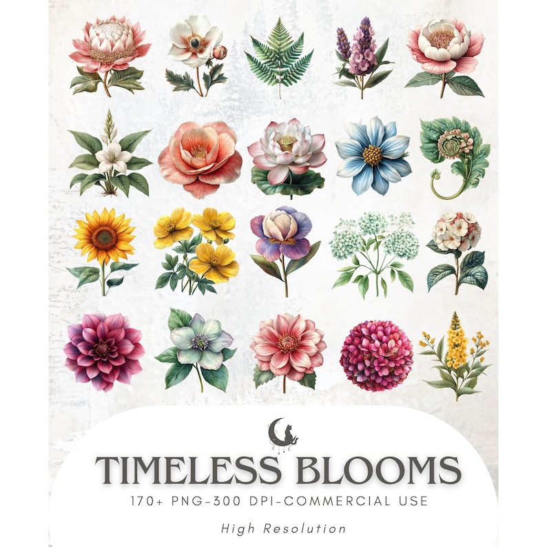 May include: A collection of watercolor floral illustrations in various colors, including pink, yellow, purple, and blue. The image features a variety of flower types, such as peonies, dahlias, and sunflowers. Text at the bottom reads "Timeless Blooms" and "High Resolution".