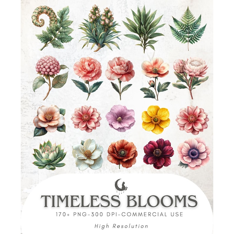 May include: A collection of watercolor floral and botanical illustrations in various colors, including pink, yellow, and purple. The image includes the text "Timeless Blooms" and "170+ PNG-300 DPI-COMMERCIAL USE".