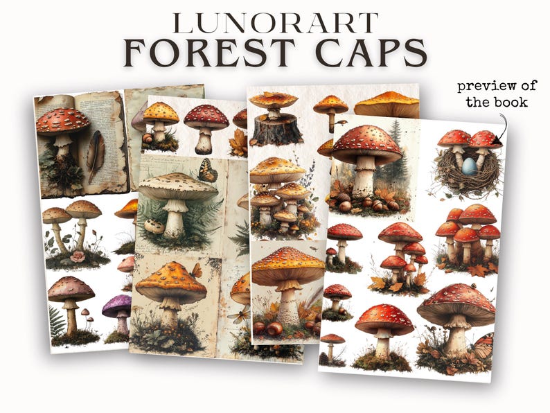 May include: A collection of colorful mushroom illustrations, featuring red and white toadstools, orange and yellow mushrooms, and a purple mushroom. The illustrations are arranged in a collage style, with some mushrooms overlapping others. The illustrations are set against a background of vintage paper and foliage.