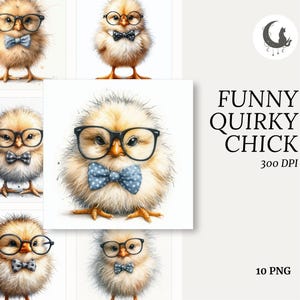 Lustige Küken Clipart PNG transparenten Hintergrund Süßer ungepflegter gelber Baby Vogel mit Fliege Brille schrullig Tier Frühling Bauernhof digitaler Download
