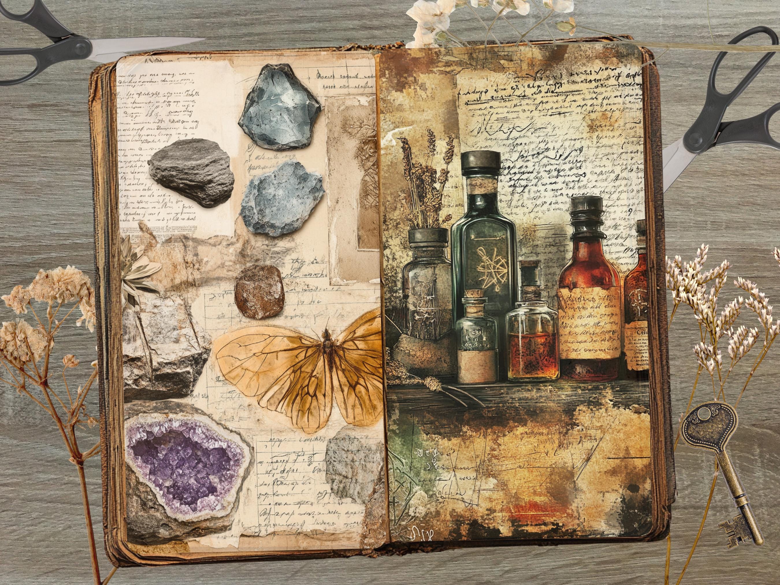Rustic Insect Specimen Junk Journal Pages Printable Ephemera With ...