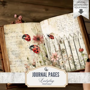 Ladybug Junk Journal Pages Printable Set Whimsical Garden Ephemera Red Black Nature Inspired Digital Paper Scrapbooking Collage  Download