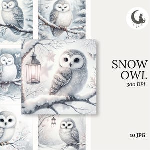 Búho de nieve, acuarela, caprichoso, efímero, animal del bosque, diario basura, manualidades de papel, clipart, elemento de tarjeta festiva, collage de invierno, libro