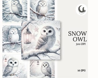 Snow Owl Watercolor Whimsical Ephemera Woodland Animal Junk Journal Paper Crafting Clipart Holiday Card Element Winter Collage Book