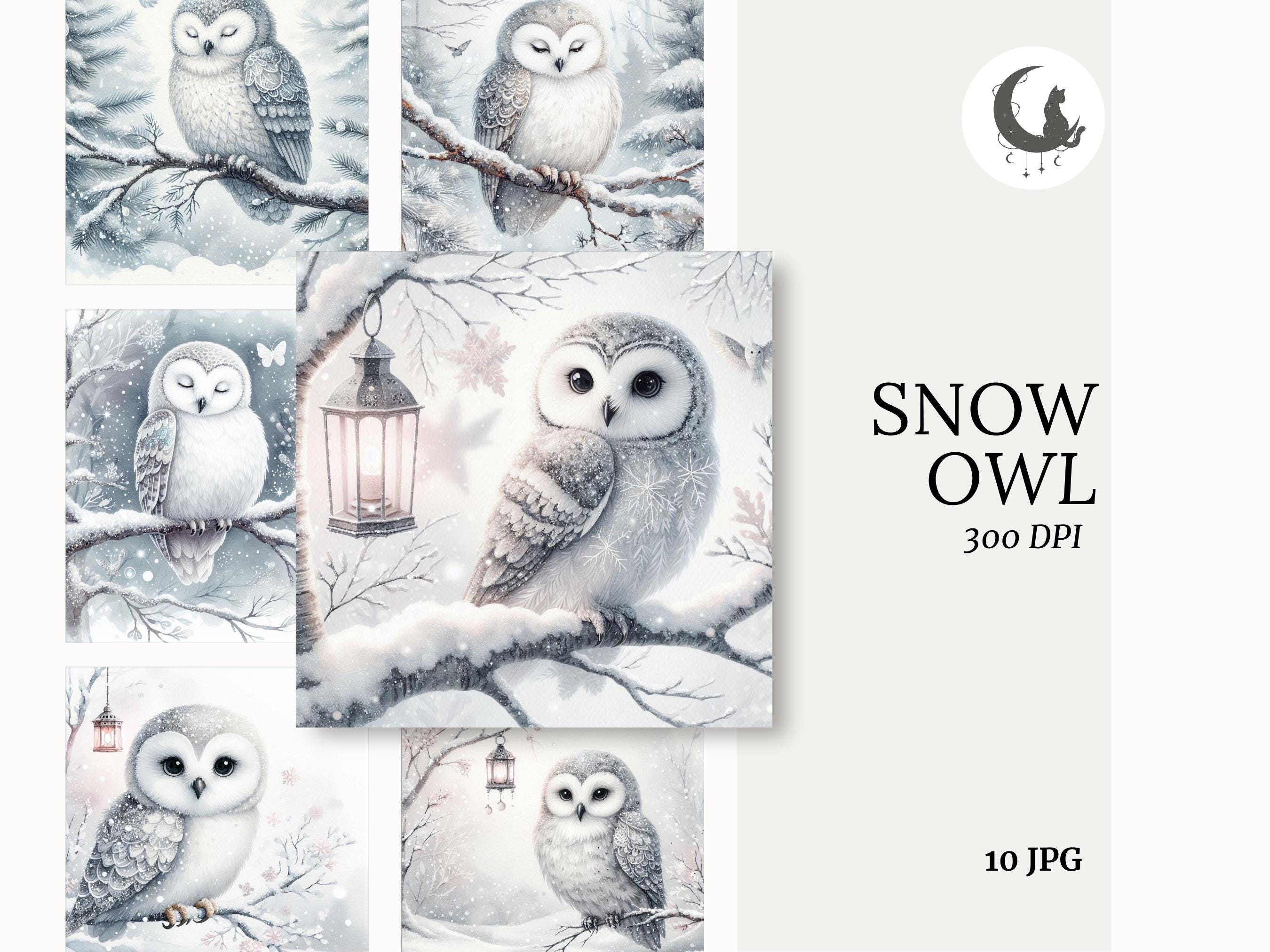Snow Owl Watercolor Whimsical Ephemera Woodland Animal Junk Journal Paper Crafting Clipart Holiday C