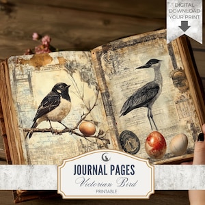 Viktorianische Vogel Junk Journal Seiten Set Rustikale Natur Ephemera Digitales Papier für Scrapbooking Collage Handwerk Kunstprojekte