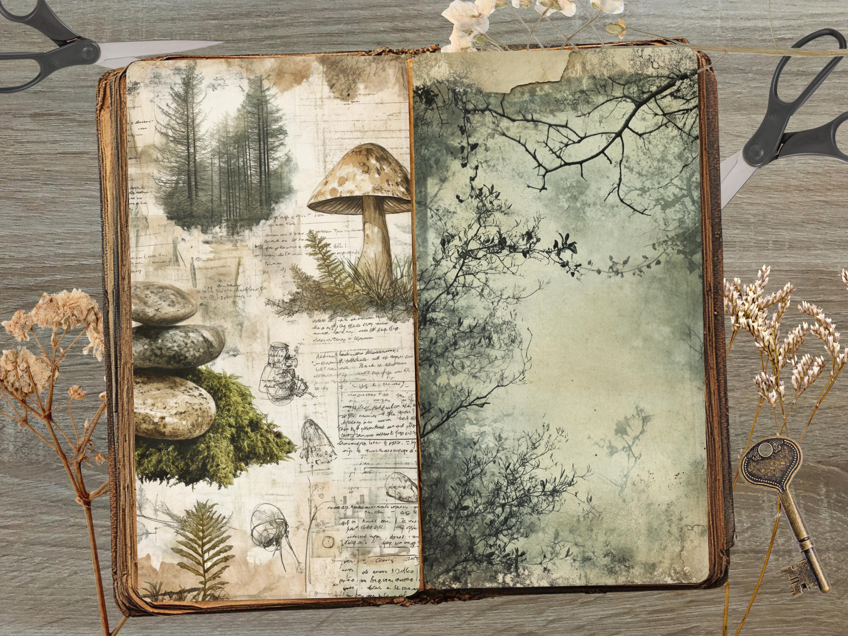 Mossy Elf Forest Junk Journal Pages JPG Soft Grunge Ephemera Woodland ...