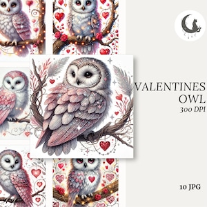 Ensemble de 10 cliparts aquarelle hibou de la Saint-Valentin 300 DPI JPGs amour mignon imprimables pour décoration bébé Saint-Valentin téléchargement numérique