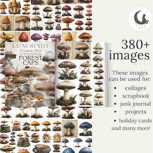 May include: A collage sheet featuring over 380 images of colorful mushrooms in various styles. The sheet is titled "LUNORART Collage Book for Art Journaling Forest Caps".
