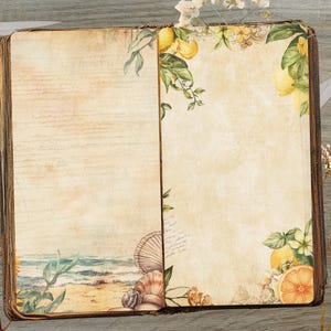 May include: An open vintage book with a brown leather cover and aged pages. The left page features a seashell and ocean scene, while the right page has a floral design with lemons and leaves.