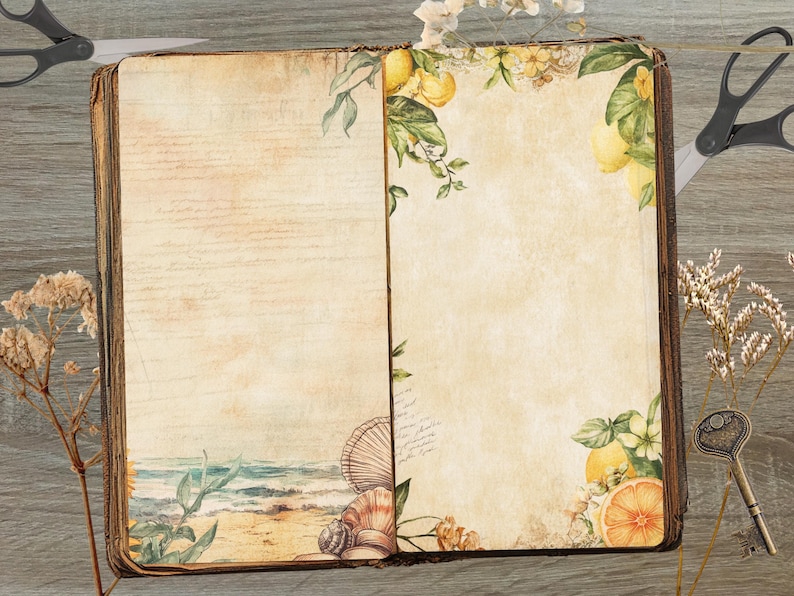 May include: An open vintage book with a brown leather cover and aged pages. The left page features a seashell and ocean scene, while the right page has a floral design with lemons and leaves.