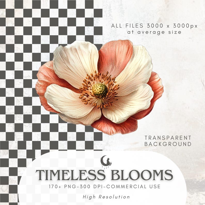 May include: A watercolor illustration of a large flower with white petals edged in peach and a yellow center. The image includes the text "TIMELESS BLOOMS" and details about the file size and commercial use.