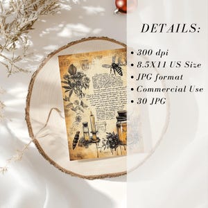 Puede incluir: Un papel digital de estilo vintage con una abeja, flores y botellas sobre un fondo de texto escrito a mano. El papel mide 8,5x11 pulgadas y 300 dpi.